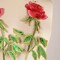 1 Red 9.5" Rose Flower Patch Iron On Embroidery Applique for Jackets Bags Jeans Clothing